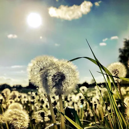 Auszeit Am Moor * Duvensee