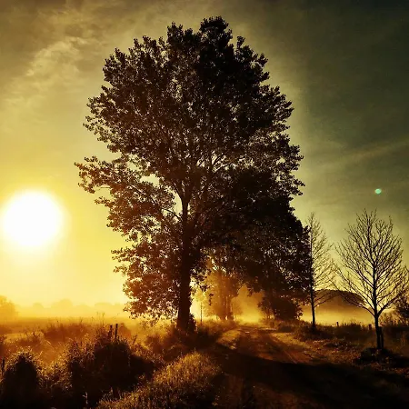 아파트 Auszeit Am Moor *