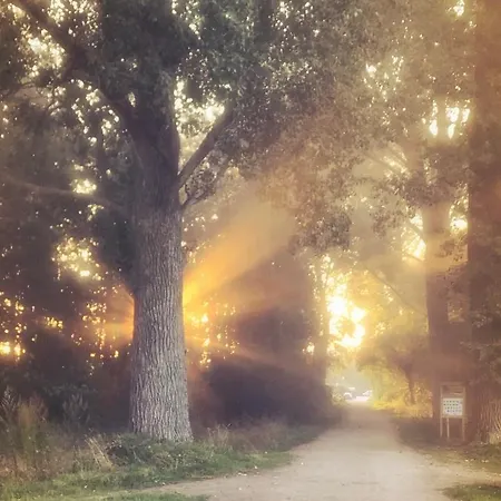 Auszeit Am Moor 아파트 *